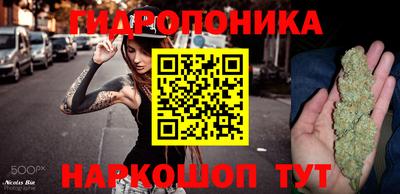 не бодяженный Кингисепп