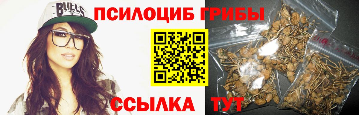 Галлюциногенные грибы Magic Shrooms  Вход с VPN  Ивантеевка  Псилоцибиновые грибы MAGIC MUSHROOMS 