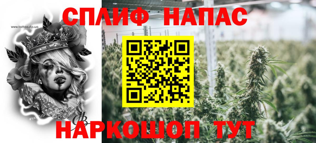 Бошки Шишки планчик  МАРИХУАНА сатива  Шишки марихуана OG Kush  Вход с VPN  Ивантеевка 